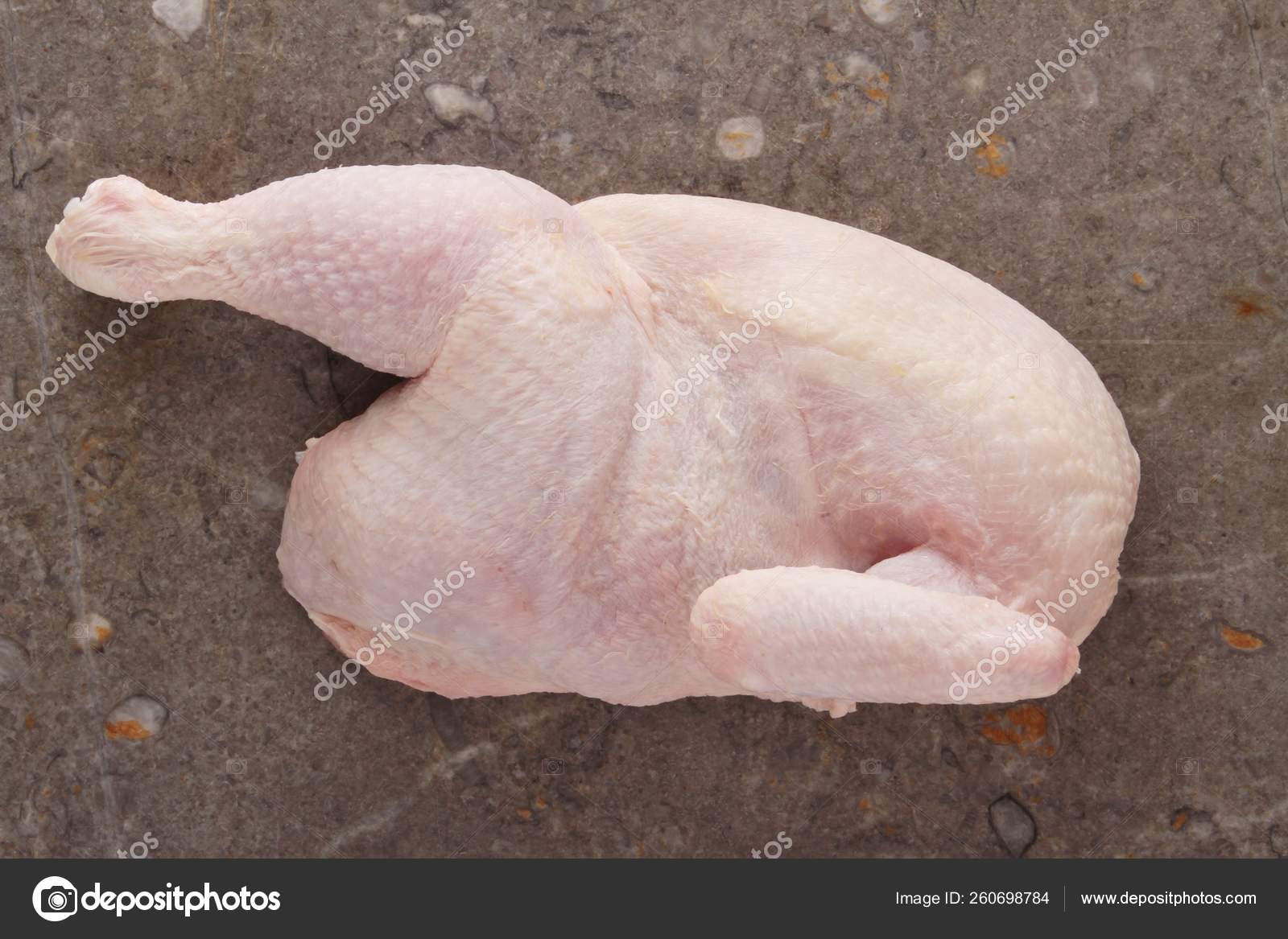 Raw Uncooked Whole Chicken Leg Stock Photo by ©YAYImages 260698784