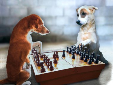 Two smart dogs playing chess in the garage. clipart