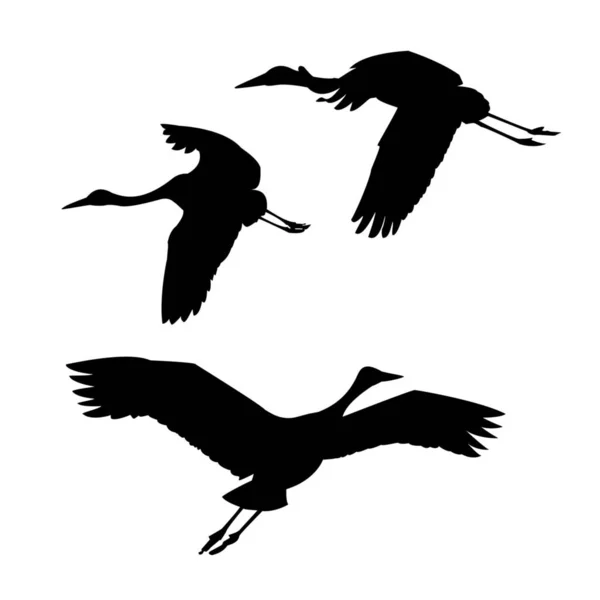 Vector Silhouette Flying Cranes White Background — Stock Photo, Image