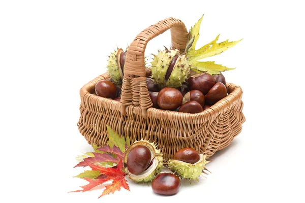 装满栗子和秋天叶子的篮子 — 图库照片