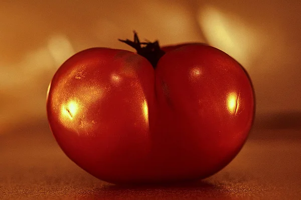 Tomate Rojo 068 Solo Tomate Rojo Maduro — Foto de Stock