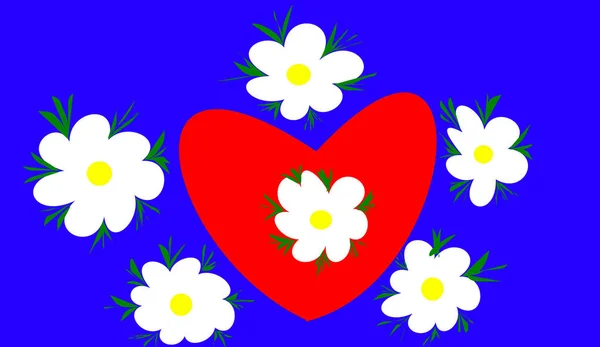 Daisies Red Heart — Stock Photo, Image
