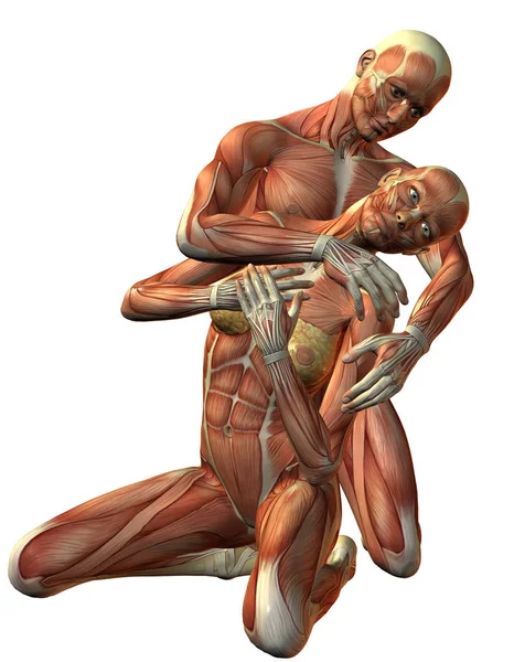 Rendering Muscle Man Woman Kneeling — Stock Photo, Image