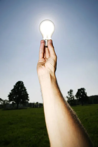 Conceito Global Soluções Energia Verde Com Lâmpada Planeta Paisagem Brilhante — Fotografia de Stock