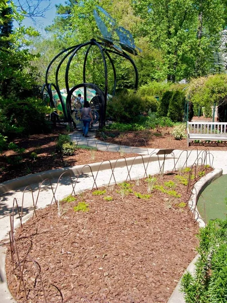 Atlantas Botaniska Trädgård Våren — Stockfoto