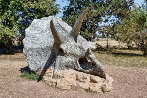 Gran Modelo Realista Cráneo Dinosaurio Triceratops Prehistórico — Foto de Stock
