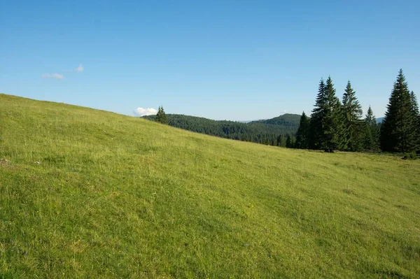 Einfache Grüne Wiese Auf Einer Hügeligen Landschaft — Stockfoto