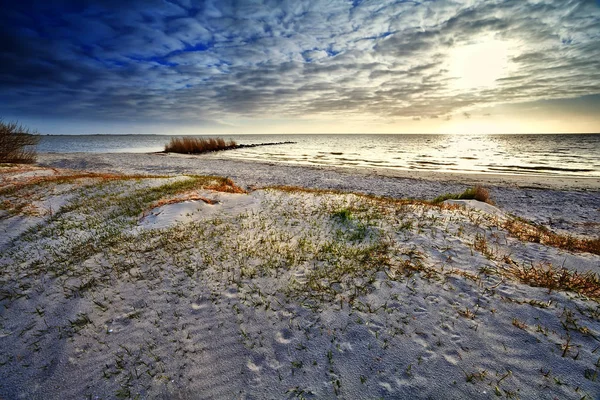 Zon Zandduinen Het Strand Bij Noordzee Nederland — Stockfoto