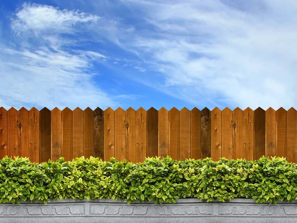 Wooden Fence Trees Sky Background — Stock Photo, Image