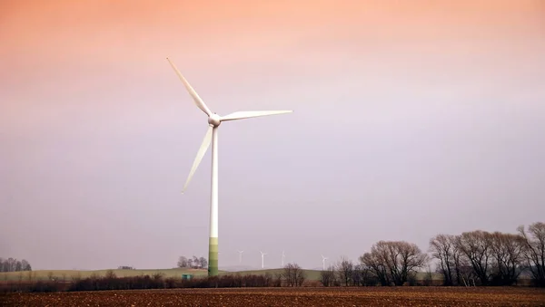 在田野的日落时分 风力涡轮机在运动 — 图库照片