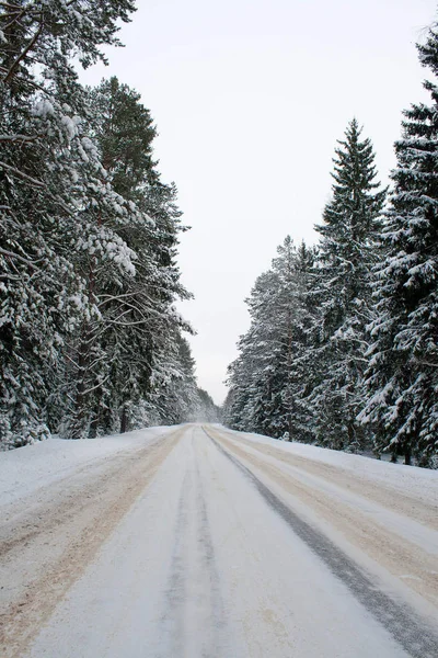 Route Campagne Dans Neige — Photo