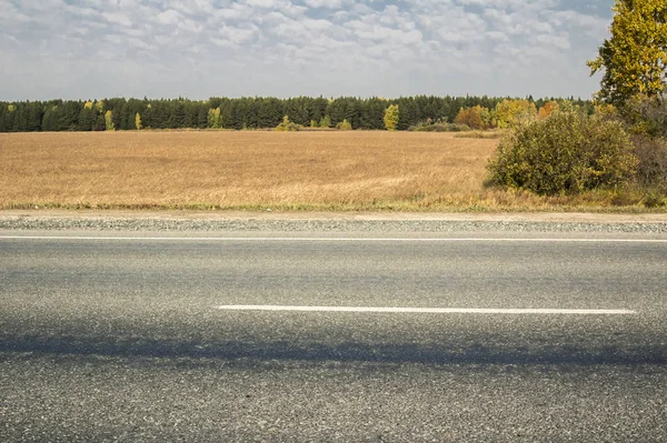 Schizzi Autunno Paesaggi Natura Della Siberia Vicino Alla Città Tobolsk — Foto Stock