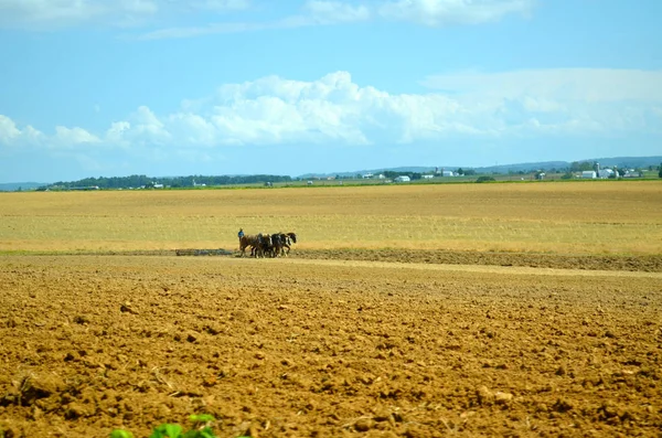 Farklı Nesneler Seçici Odak — Stok fotoğraf