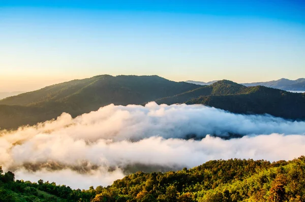 Beautiful Misty Morning Maetang Chiang Mai Thailand — стоковое фото