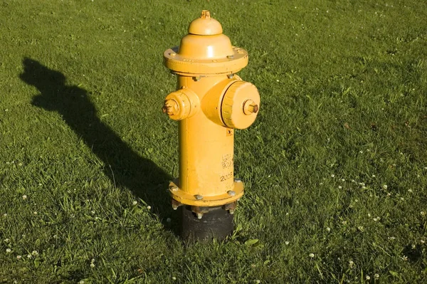 午後に長い影を持つ草の中の黄色い消火栓 — ストック写真