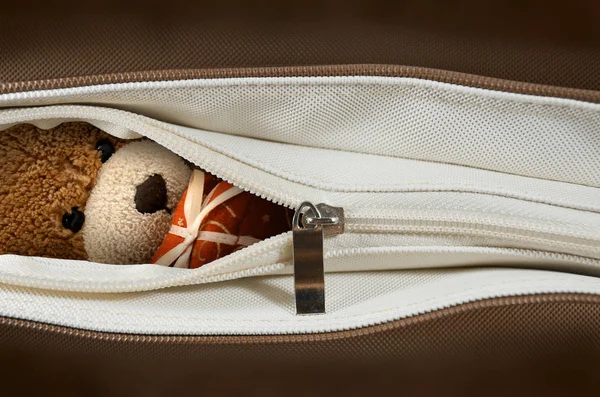 茶色の袋に入った熊人形 — ストック写真