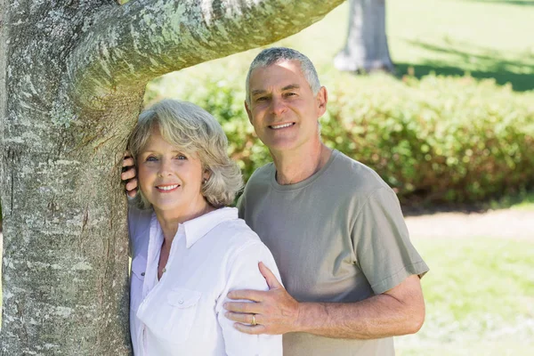 Retrato Una Pareja Madura Sonriente Además Árbol Parque — Foto de Stock