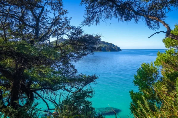 Veja Vista Abel Tasman Coast Track Parque Nacional Nova Zelândia — Fotografia de Stock