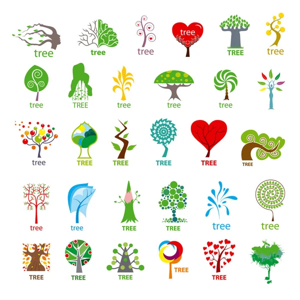Maior Coleção Logotipos Vetoriais Árvore Estilizada — Fotografia de Stock