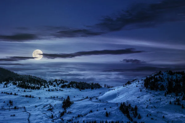 Świerk Las Łące Pełnej Śniegu Nocy Pełni Księżyca — Zdjęcie stockowe