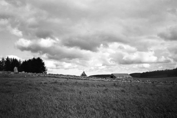 필름으로 초원과 은신처를 그린에 애버딘 에벌리 — 스톡 사진