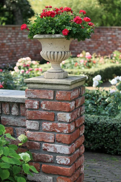 Malerischer Rosengarten Regulären Garten — Stockfoto