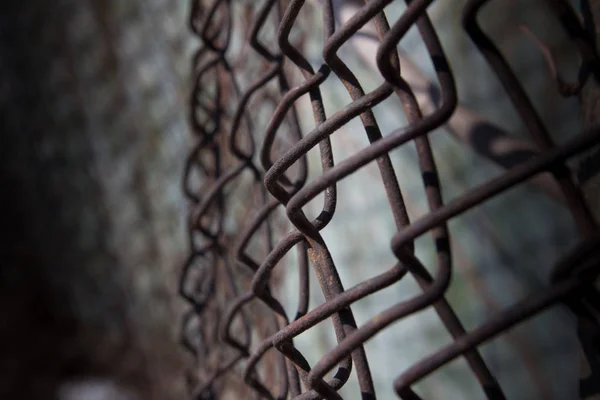 Una Malla Cerca Hierro Oxidado — Foto de Stock