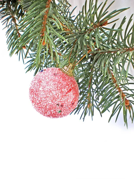 Beyaz Arka Plan Üzerinde Izole Dekore Çam Noel Dalı — Stok fotoğraf