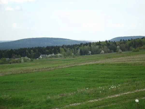 Uitzicht Beboste Bergen Lage Gesteelde — Stockfoto