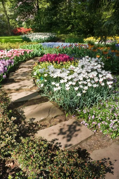 Nisan Günü Bahar Çiçekleri Ile Flagstone Yolu — Stok fotoğraf