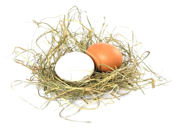 Dos Huevos Nido Aislados Sobre Fondo Blanco —  Fotos de Stock