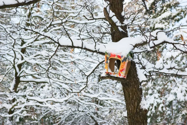 Alimentadores Aves Tallados Una Caja Cartón —  Fotos de Stock