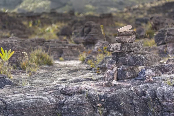 Bizarní Horniny Plošině Roraima Tepui Venezuela Latinská Amerika — Stock fotografie