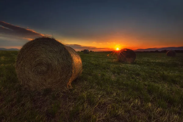 Tempo Raccolta Fasci Sul Campo — Foto Stock