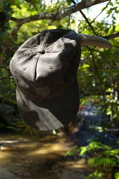 Australia Cap Hanging Tree Branch Padded Clothes Hanger Waterfall — Stock Photo, Image