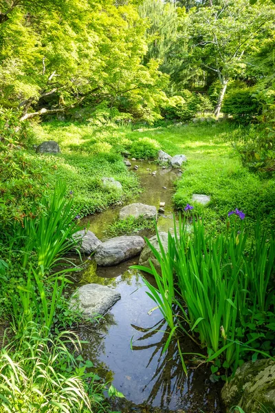 Maruyama Ιαπωνικό Κήπο Κιότο Ιαπωνία — Φωτογραφία Αρχείου