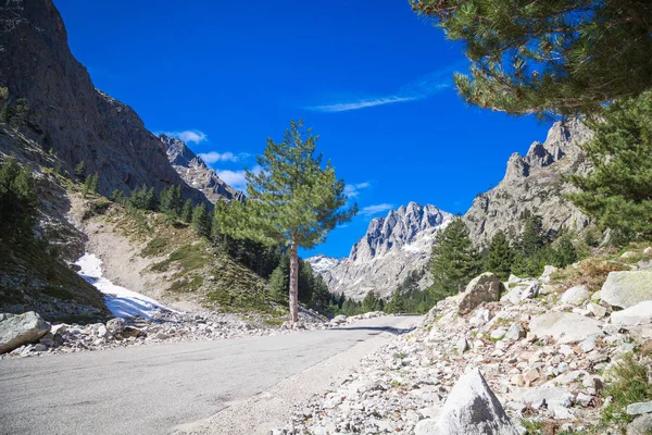 Natuurlijke Landschappen Restonica Vallei Corsica — Stockfoto