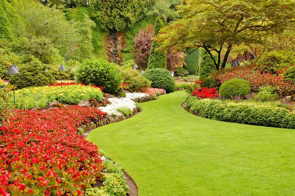 Farbenfroher Üppiger Garten Sommer — Stockfoto