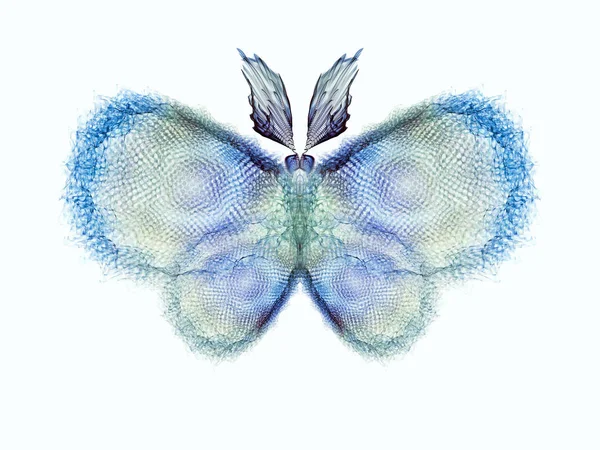 Soha Nem Voltak Pillangók Sorozat Kreatív Elrendezése Elszigetelt Pillangó Minták — Stock Fotó