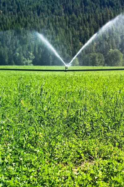 Fuente Rociadores Campo Granja — Foto de Stock