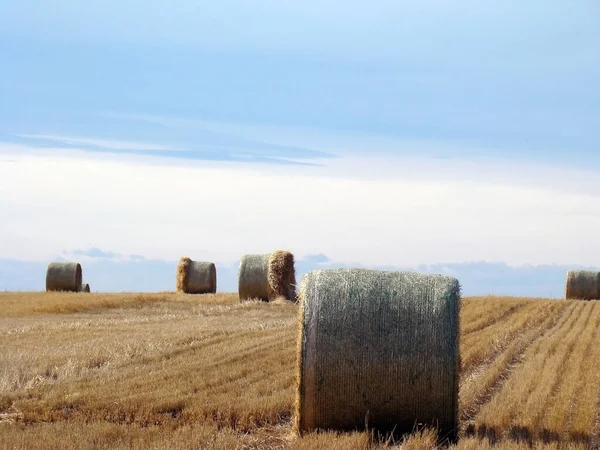 Paesaggio Rurale Durante Giorno — Foto Stock