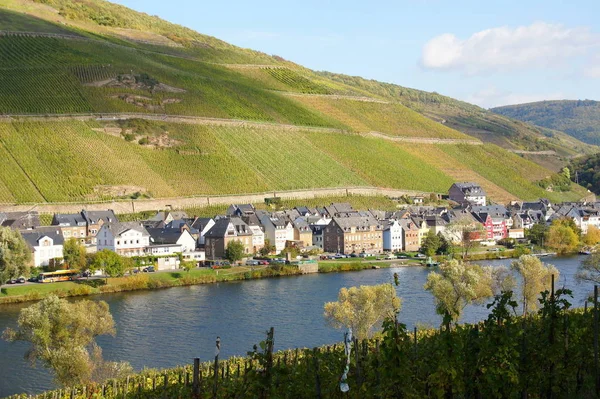 Zell Merl Der Mosel Herbst — Fotografia de Stock