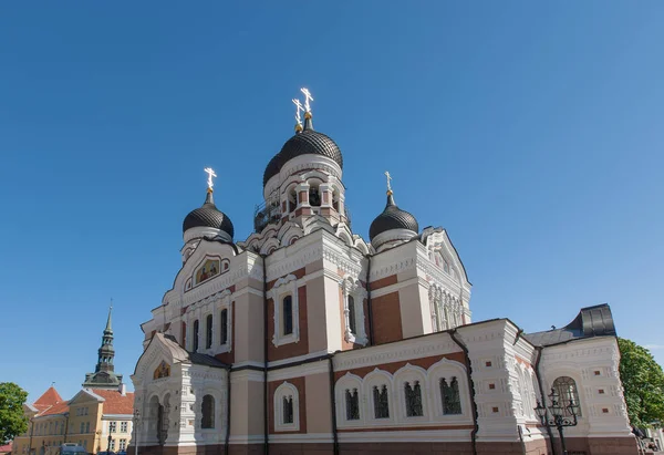 Таллінн Столиці Естонії Eesti — стокове фото