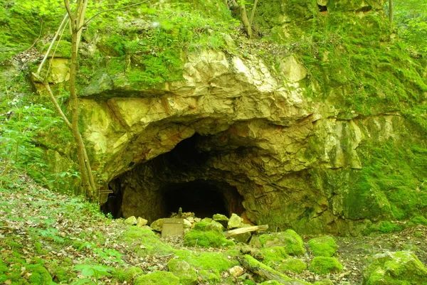 Cueva Verde Cubierta Helecho Musgo Bosque — Foto de Stock