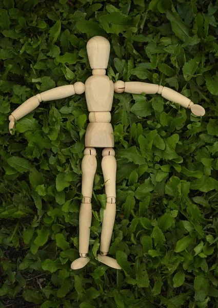 Toy Wooden Man Lying Grass — Stock Photo, Image