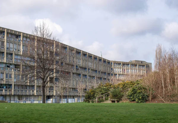 Londres Inglaterra Reino Unido Marzo 2009 Urbanización Robin Hood Gardens — Foto de Stock