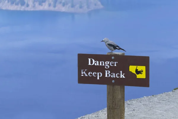 Schiaccianoci Clark Appollaiato Sul Cartello Danger Keep Back Nel Crater — Foto Stock