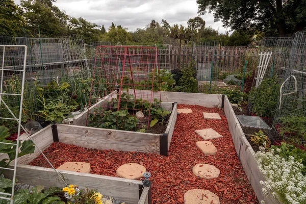 Jardín Ecológico Comunitario Con Verduras Flores Naturales Primavera —  Fotos de Stock