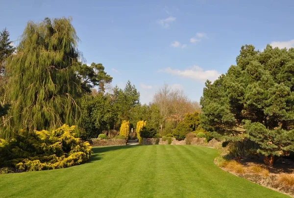성숙한 나무와 내에서 완벽한 잔디는 정원의 흐름에 — 스톡 사진