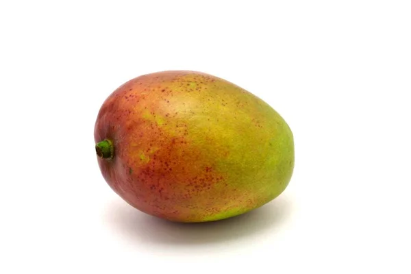 Mango Singolo Sullo Sfondo Bianco — Foto Stock